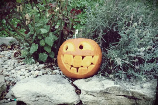 'IX. Tökfesztivál' cikk borítóképe