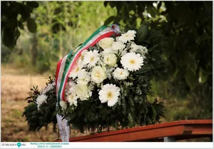 Képek