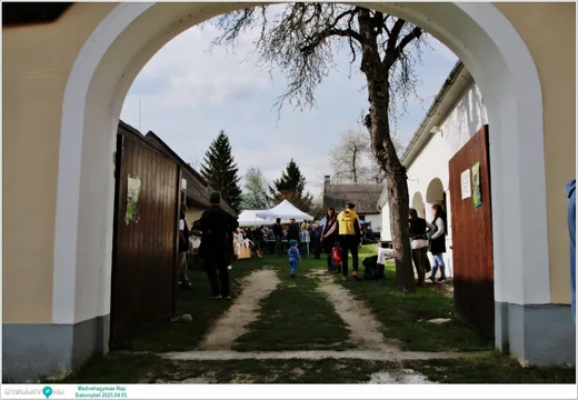 'Medvehagymás Nap' cikk borítóképe