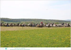 Fotók, Útirány.hu: