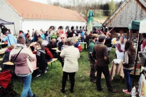 12. Medvehagymás napok. Fotók: Sárfi Lajos