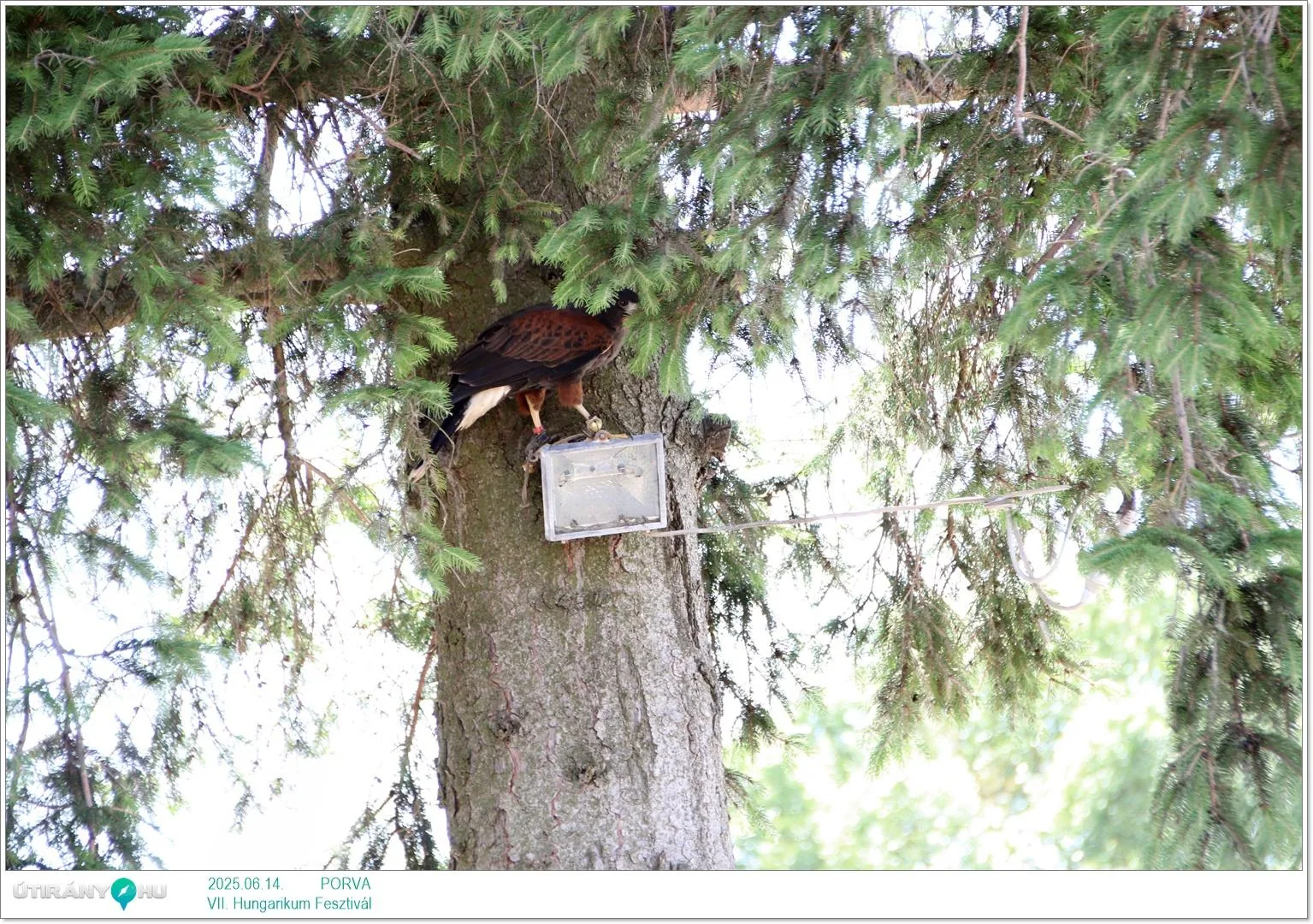 Képek: Útiárny.hu