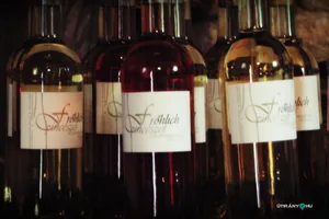 Pincefesztivál 2019 / Fotók: Útirány.hu