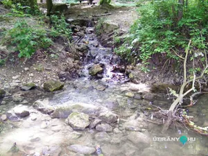 TúraBot 2018 19.hét