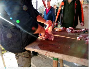 Fotók, Útirány.hu