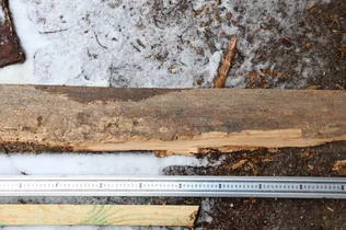 Lezárt akta: Melléképületbe tört be borítóképe