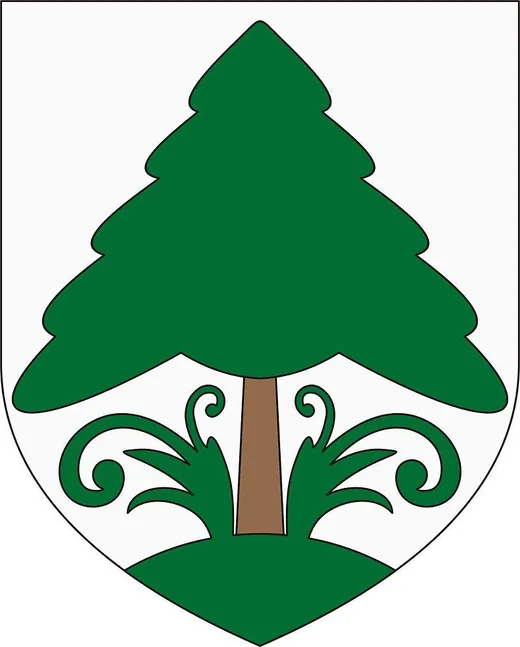 'Fenyőfő' cikk borítóképe