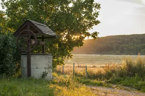 Fotó: Pesty Márton