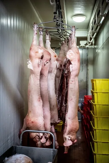 Képek: Horváth Dorottya