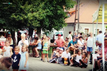 V. Sólyi Falunap