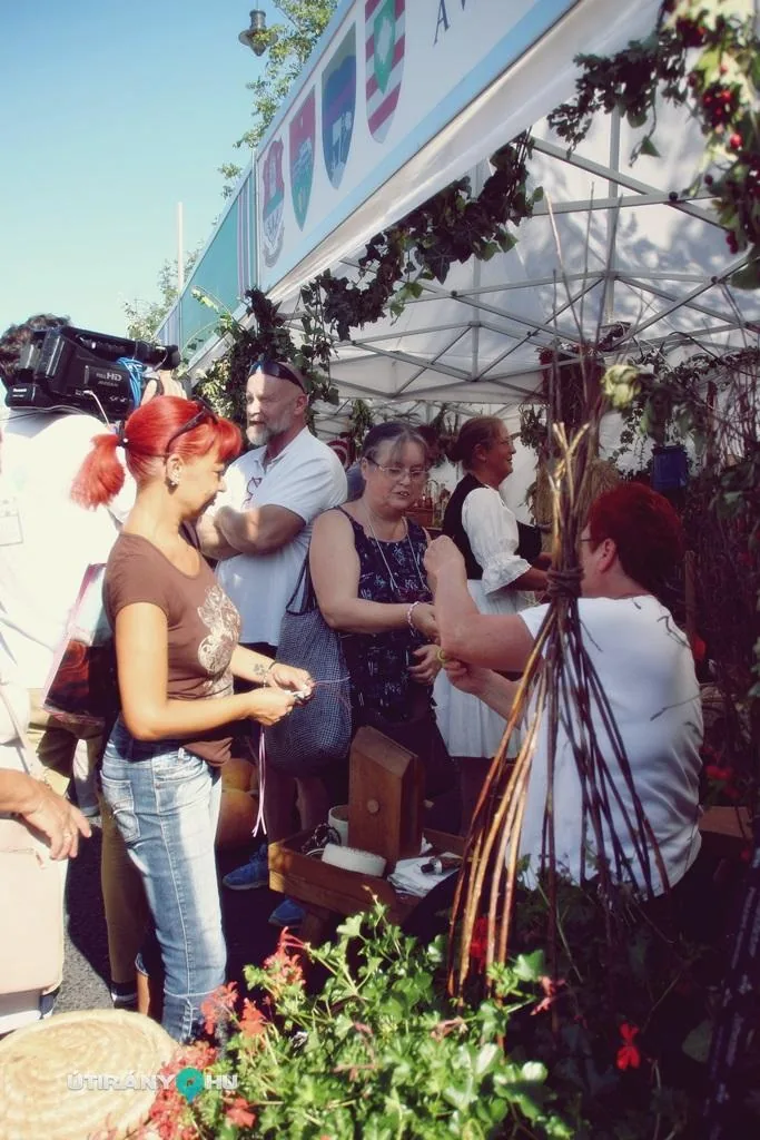 Nemzeti Vágta, Szombati képek. Fotó: Útirány.hu