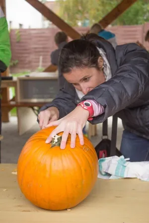 Fotók 1 album: Babai Lalinda