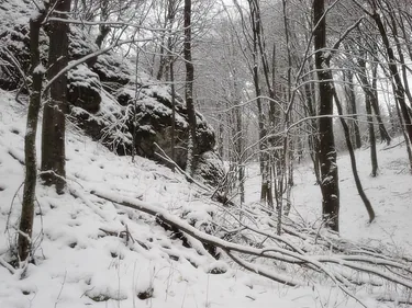 2018 tájfutás képekben