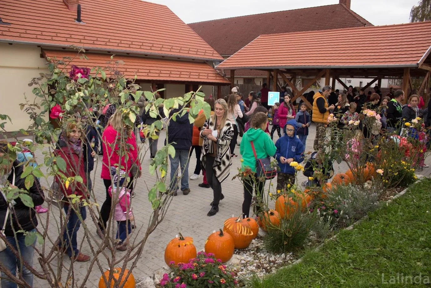 Fotók 2 album: Babai Lalinda