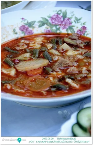 „PÓT”- FALUNAP és NYÁRBÚCSÚZTATÓ FŐZŐVERSENY KÉPEK / Fotók: Útirány.hu