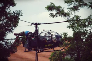 Falunap Fotó: LuiLand