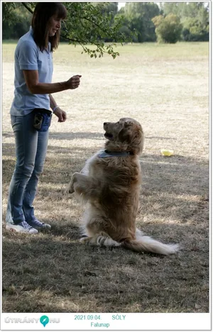 Fotók, Útirány.hu