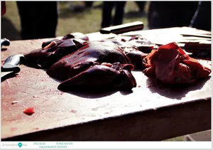 Fotók, Útirány.hu