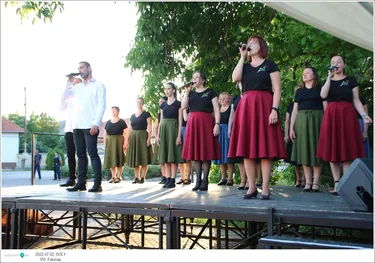 VIII. Sólyi Falunap