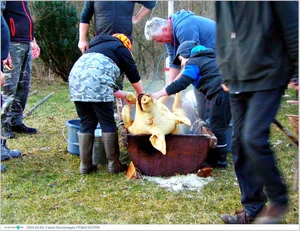 Fotók, Útirány.hu