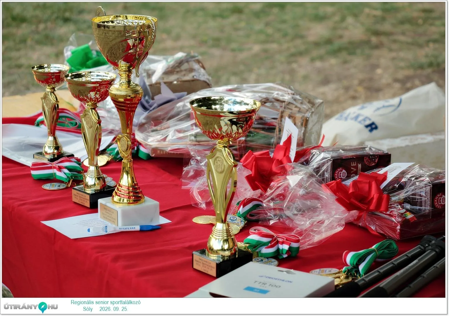 Regionális senior sporttalálkozó