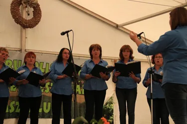 XIV. Bakonyi Krumpliszüreti és Művészeti Fesztivál 2016