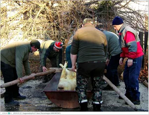 Fotók, Útirány.hu