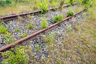 Vasúti gyomirtási tevékenység borítóképe