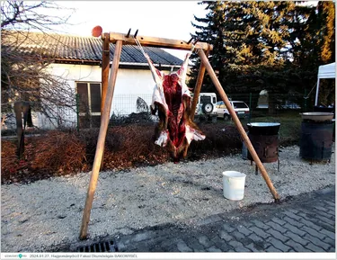 Fotók, Útirány.hu