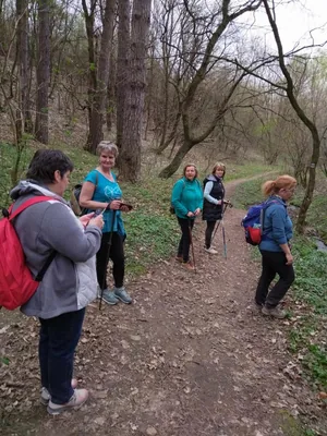 Fotók, Vadon Vándorai 