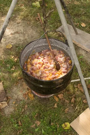 Nyárbúcsúztató főzőverseny, Fotó: Babai Lalinda