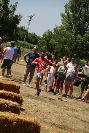 2017 Ösbő Vezér napok/ szombat/ képekben