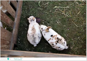 2022.04.14. csütörtöki nap Fotók: Útirány.hu