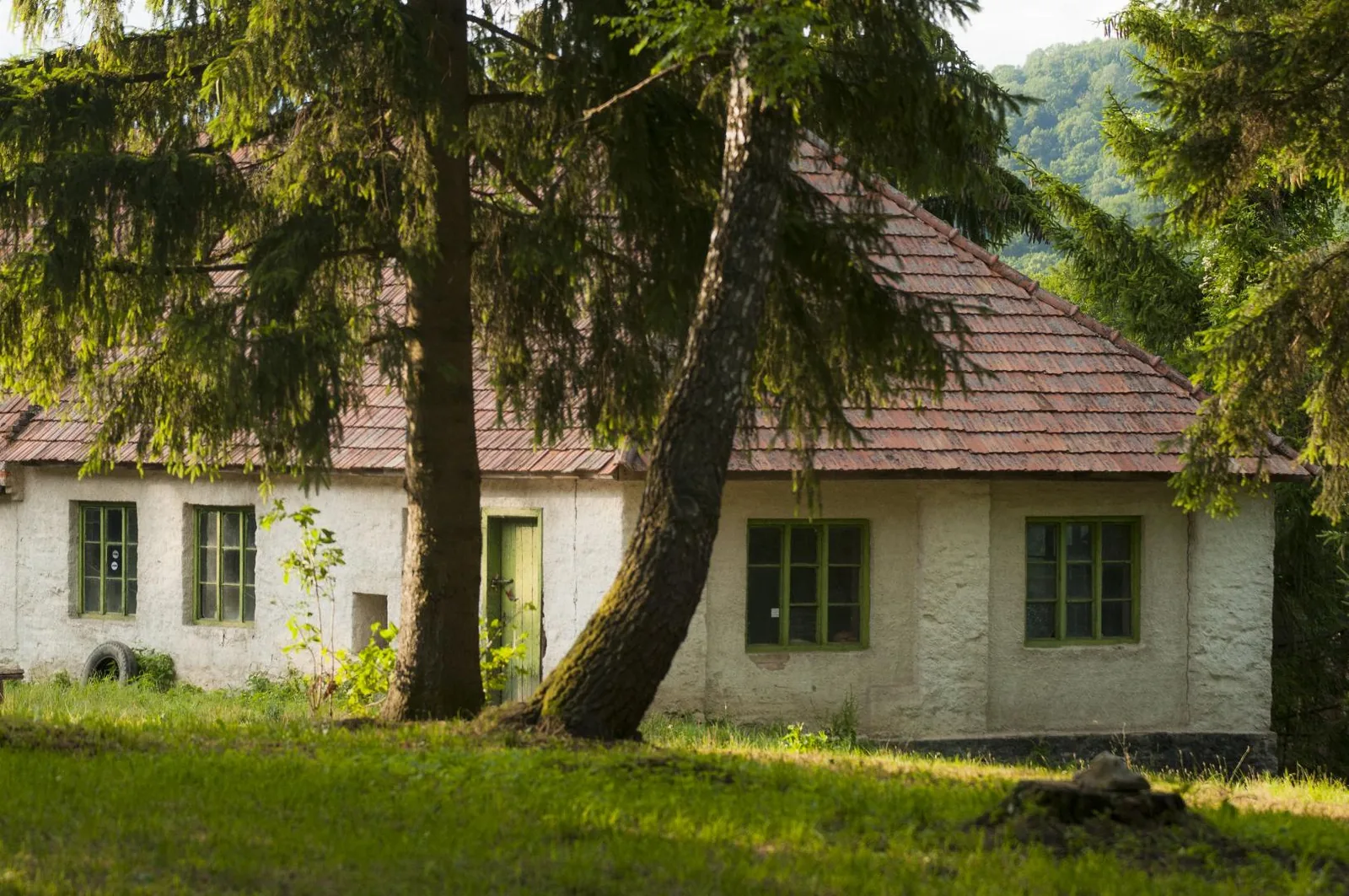 Fotó: Pesty Márton