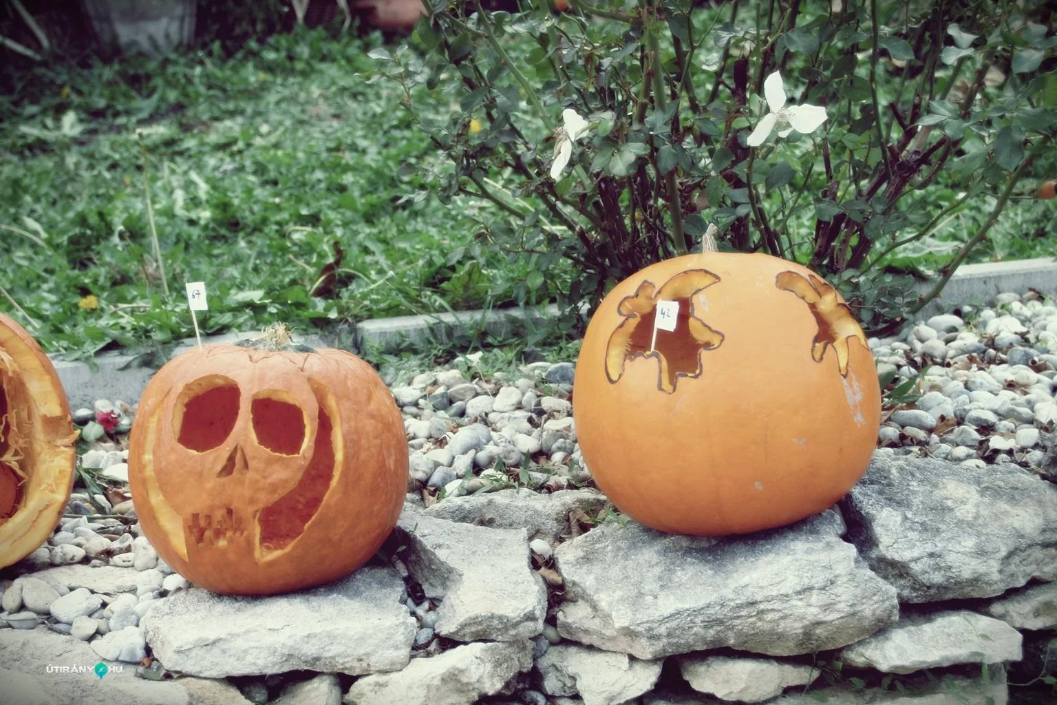 Tökfesztivál 2018. Fotók: Útirány.hu