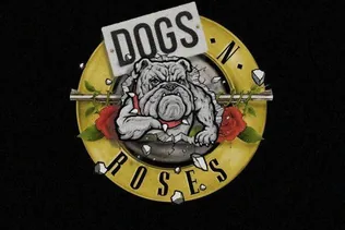 Dogs N Roses koncert borítóképe