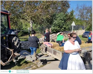 Képek: Útirány.hu