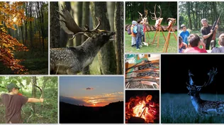 Dámvadles és vadászati bemutató borítóképe