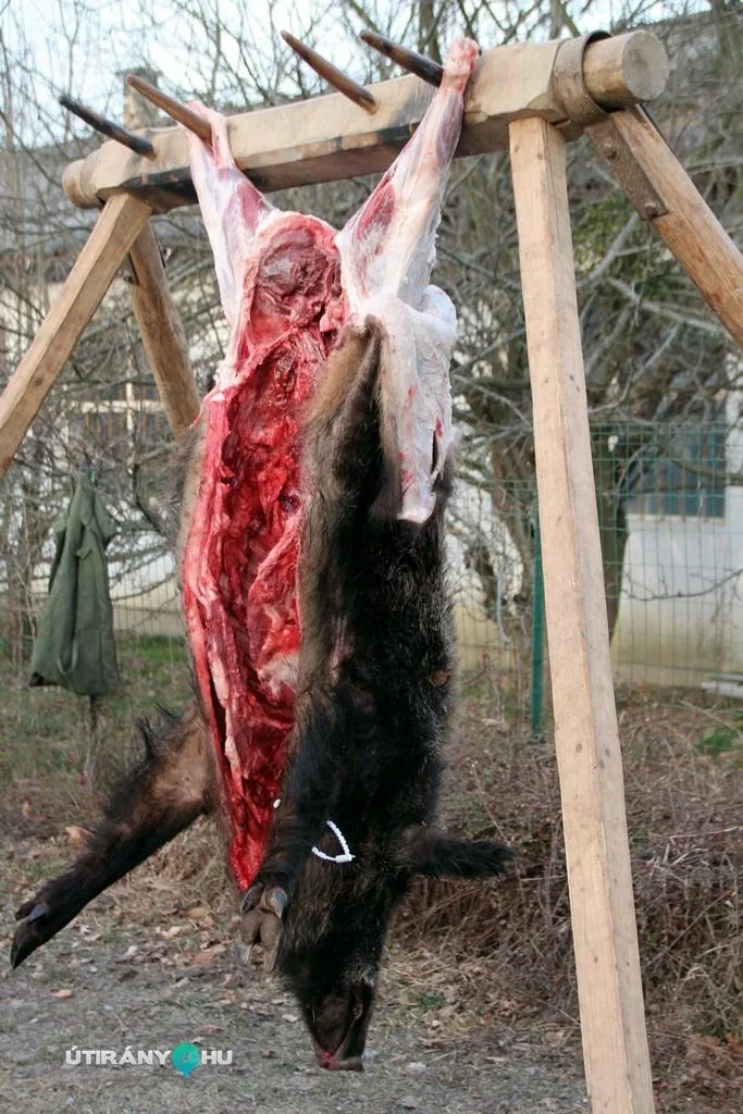 6. Falusi disznóvágás / Fotók: Útirány.hu