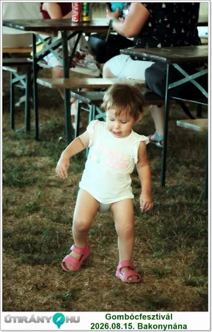 Képek