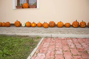 Fotók 2 album: Babai Lalinda