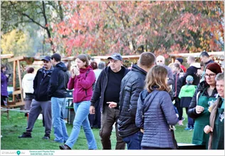 Gerence-parti Pityóka Party borítóképe