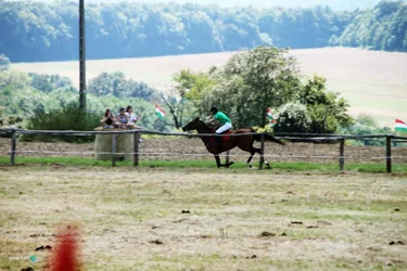 Bakonyi Vágta 2019