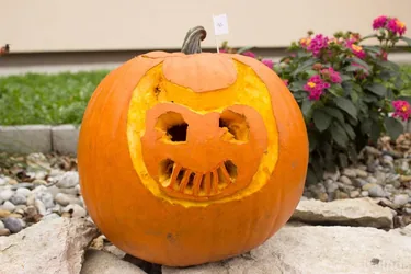 Fotók 1 album: Babai Lalinda