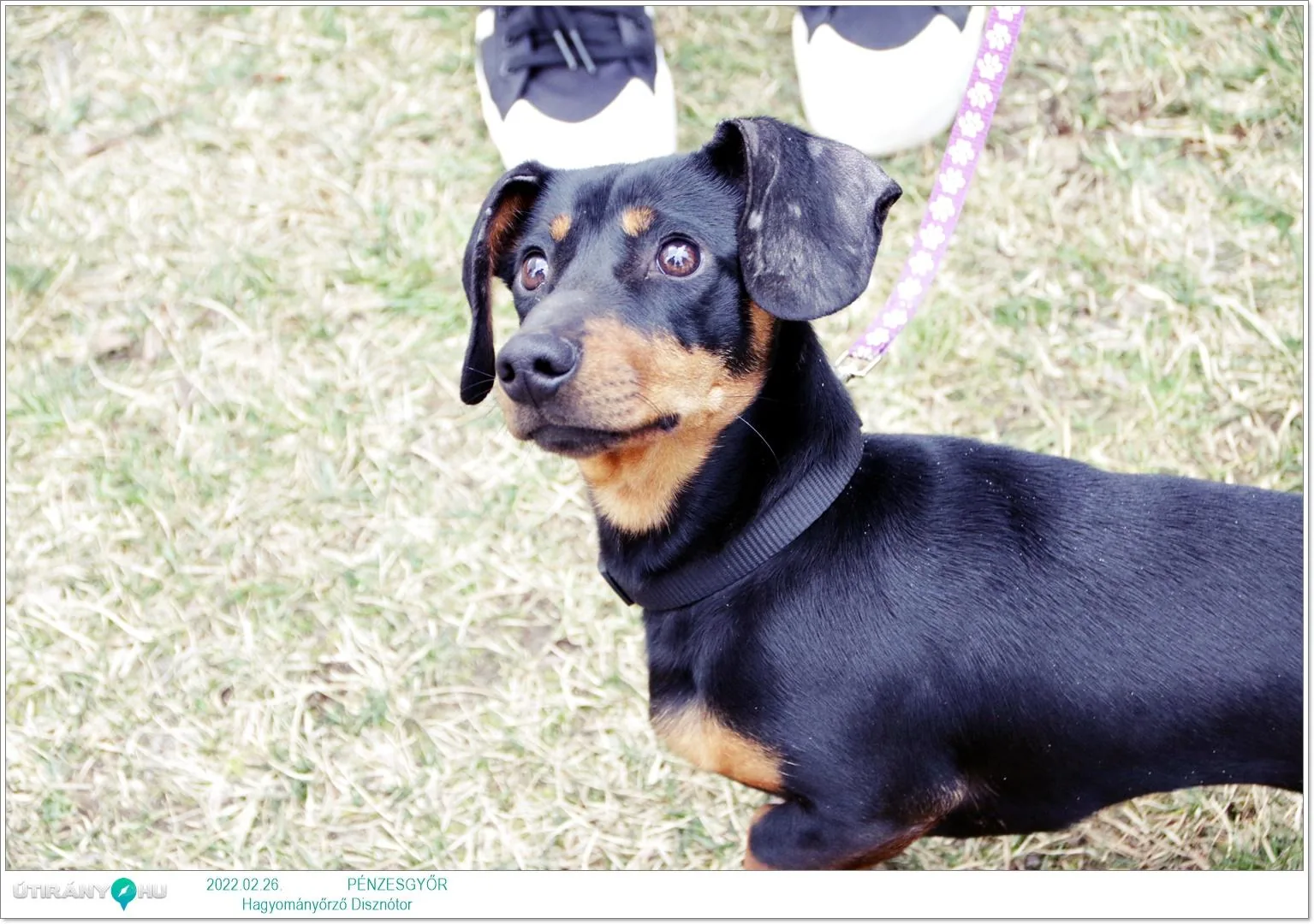 Fotók, Útirány.hu