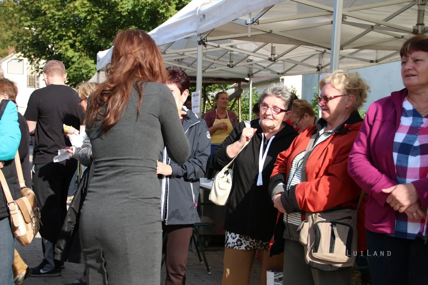 Kora délután, fotók: BakonyiHírek