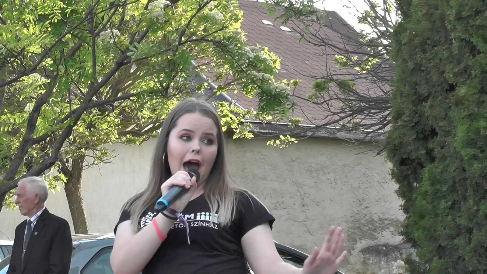 A Veszprémi Petőfi Színház Litéren