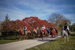 Fotók: Nánási István