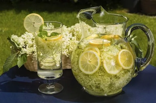 'Bodzaszedés és szörpkészítés' cikk borítóképe