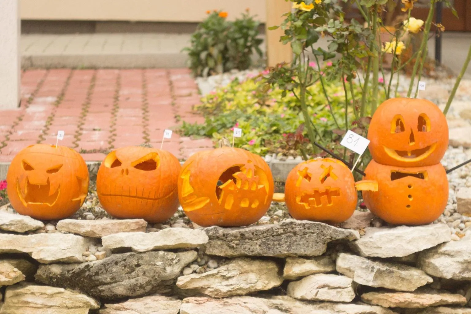 Tökfesztivál 2018. Képek: Babai Lalinda